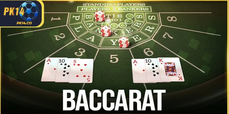 Các thuật ngữ trước khi nắm bí kíp đánh baccarat