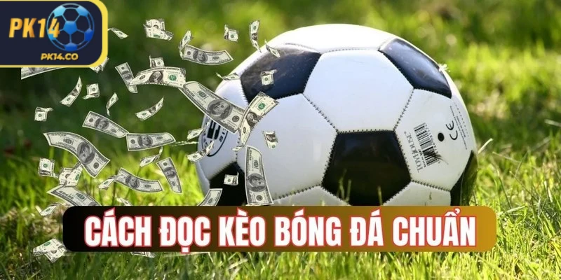 Tính chất giải đấu là 1 khía cạnh cần biết khi đọc kèo bóng đá